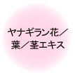 iMԁ^t^sGLX