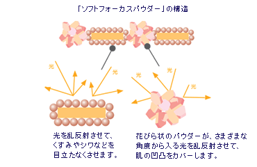 \tgtH[JXpE_[̍\
