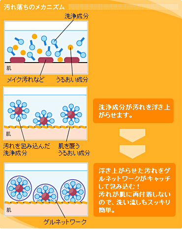 Qlbg[N@ꗎ̃JjY
