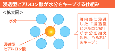 Z^qA_L[vdg݁BɐZuZ^qA_v݁A邨L[vI