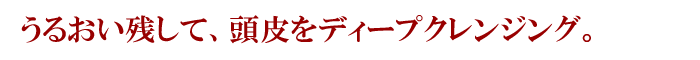 うるおい残して、頭皮をディープクレンジング。