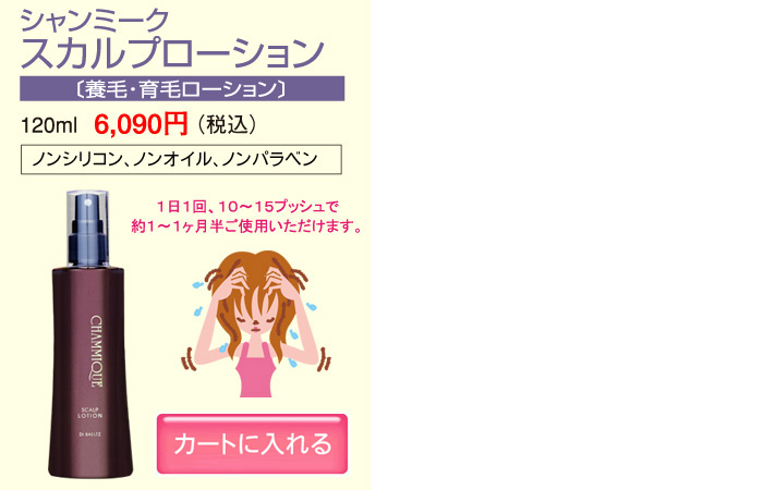 本商品の購入